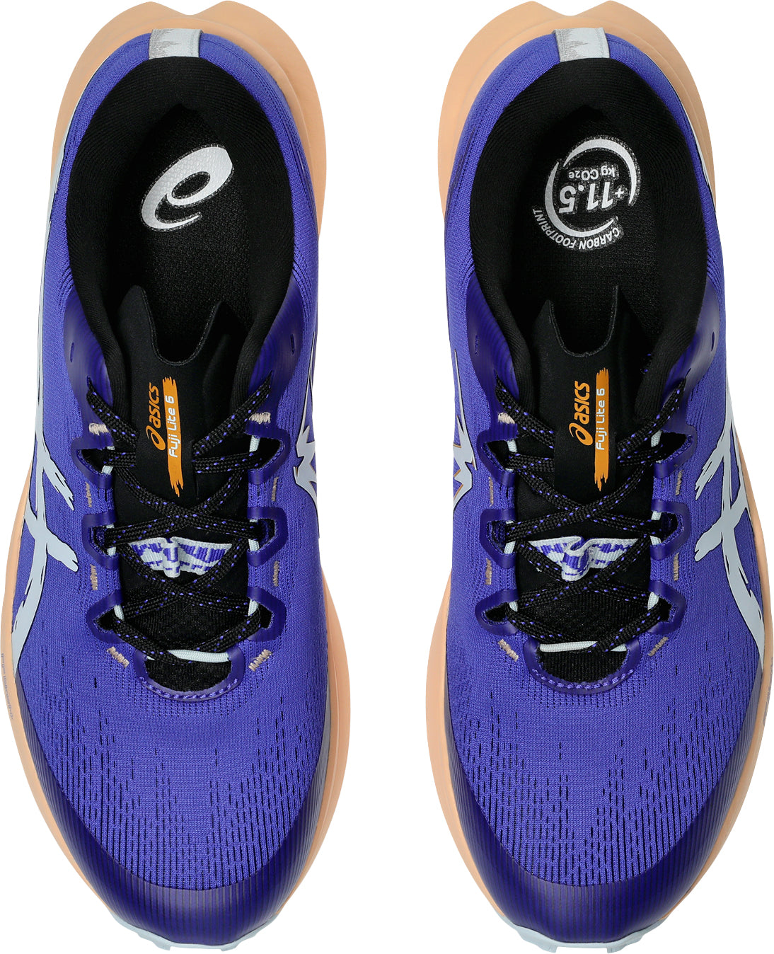 Men's FujiLIte 6 Trail Running Shoes - Blue