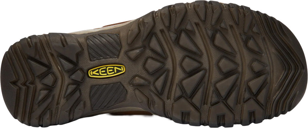 Women's Targhee IV Waterproof Walking Boots - Brown