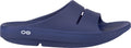 OOahh Recovery Slides - Blue