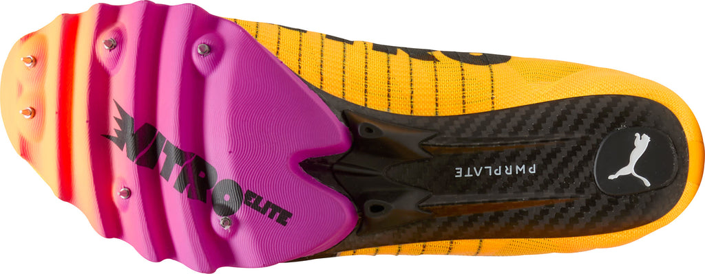 Men's Berserker Nitro Elite 2 Running Spikes - Orange