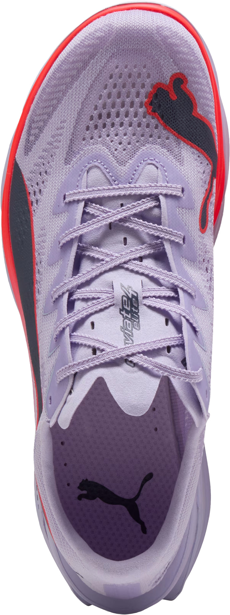 Men's Deviate Nitro Elite 4 Road Running Shoes - Purple