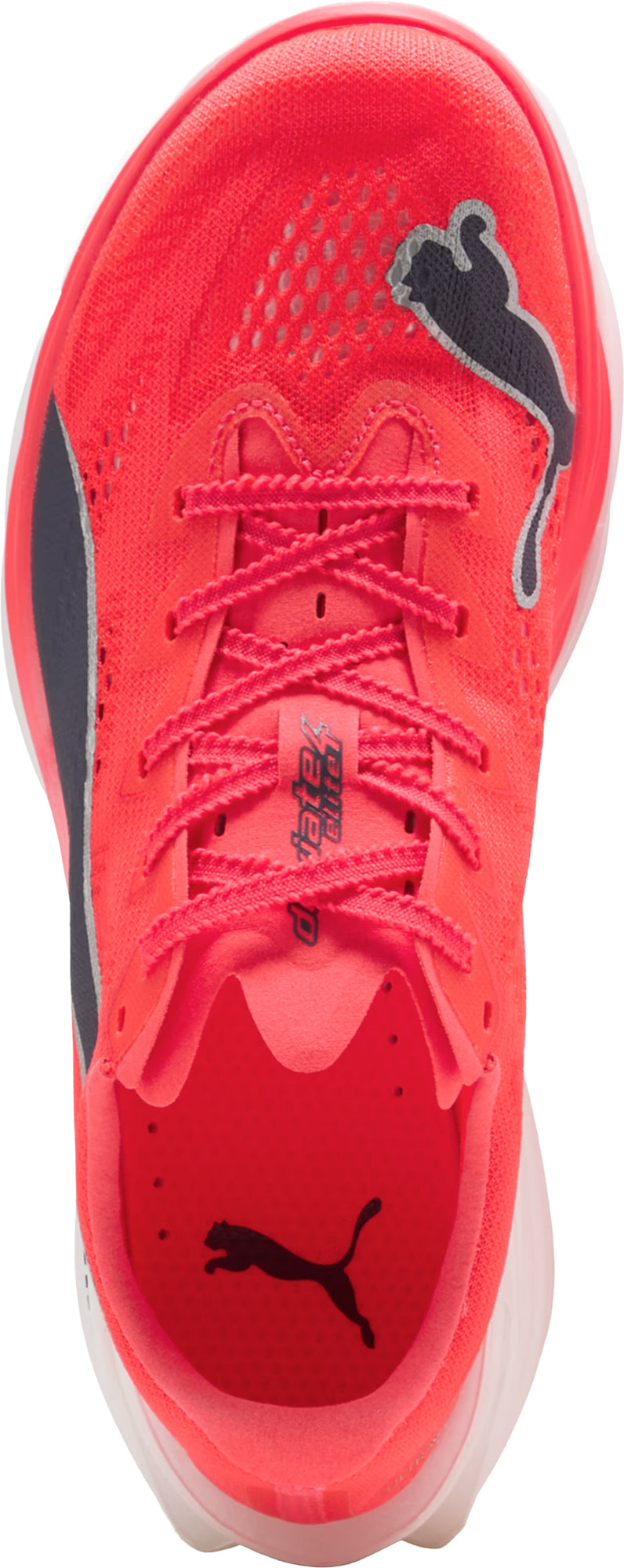 Women's Deviate Nitro Elite 4 Road Running Shoes - Red