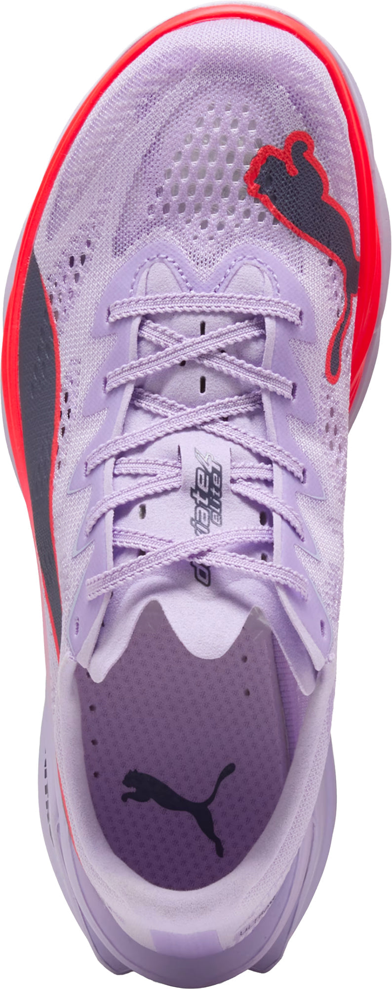 Women's Deviate Nitro Elite 4 Road Running Shoes - Purple