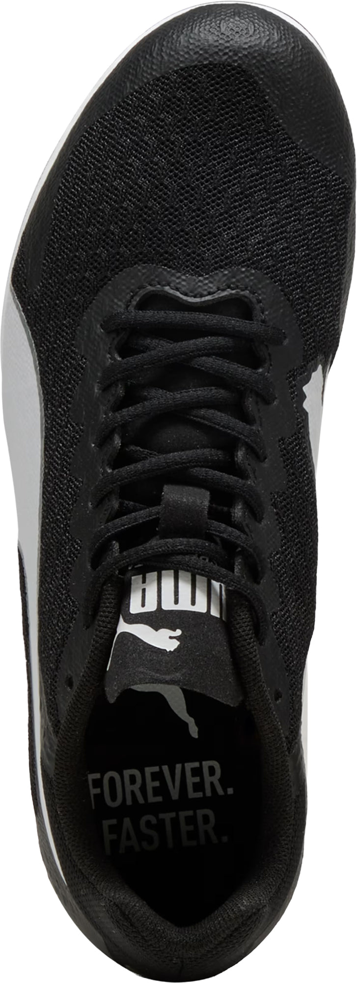 Junior EvoSpeed Star 9 Running Spikes - Black