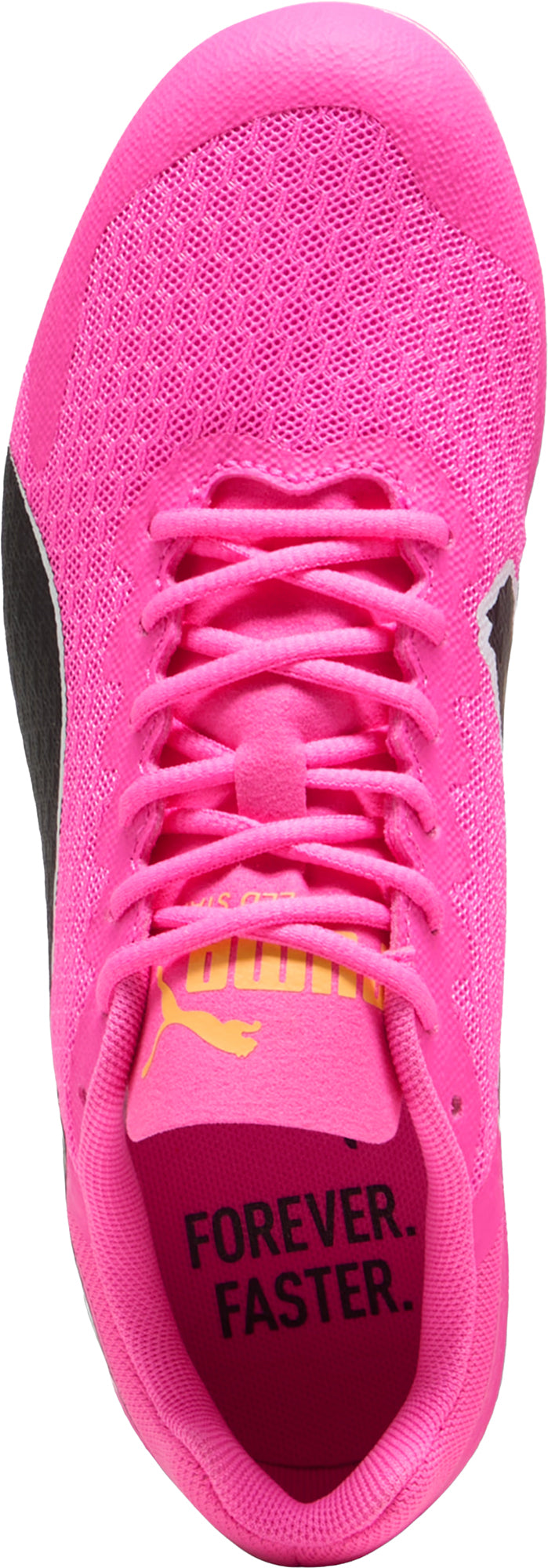 Junior EvoSpeed Star 9 Running Spikes - Pink