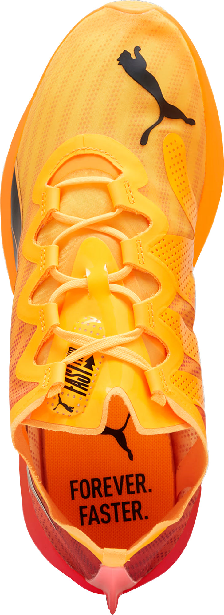 Men's Fast-FWD Nitro Elite Road Running Shoes - Orange