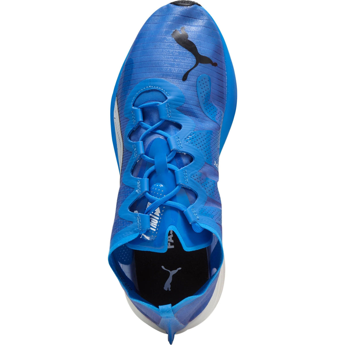 Women's Fast-FWD Nitro Elite Road Running Shoes - Blue