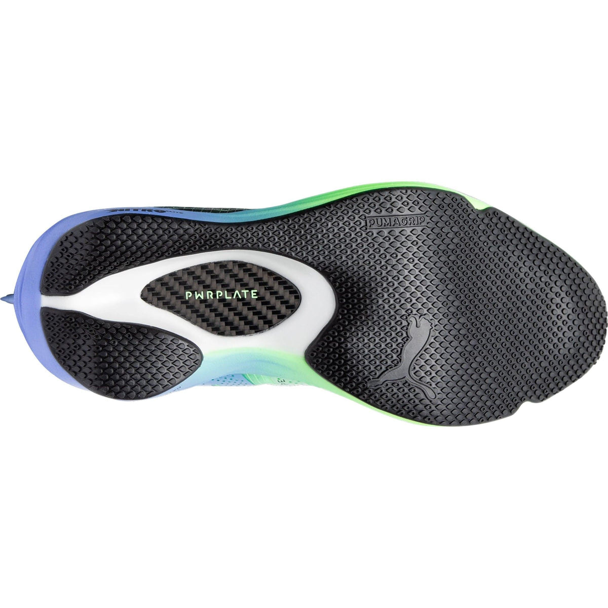 Women's Fast-FWD Nitro Elite Road Running Shoes - Purple