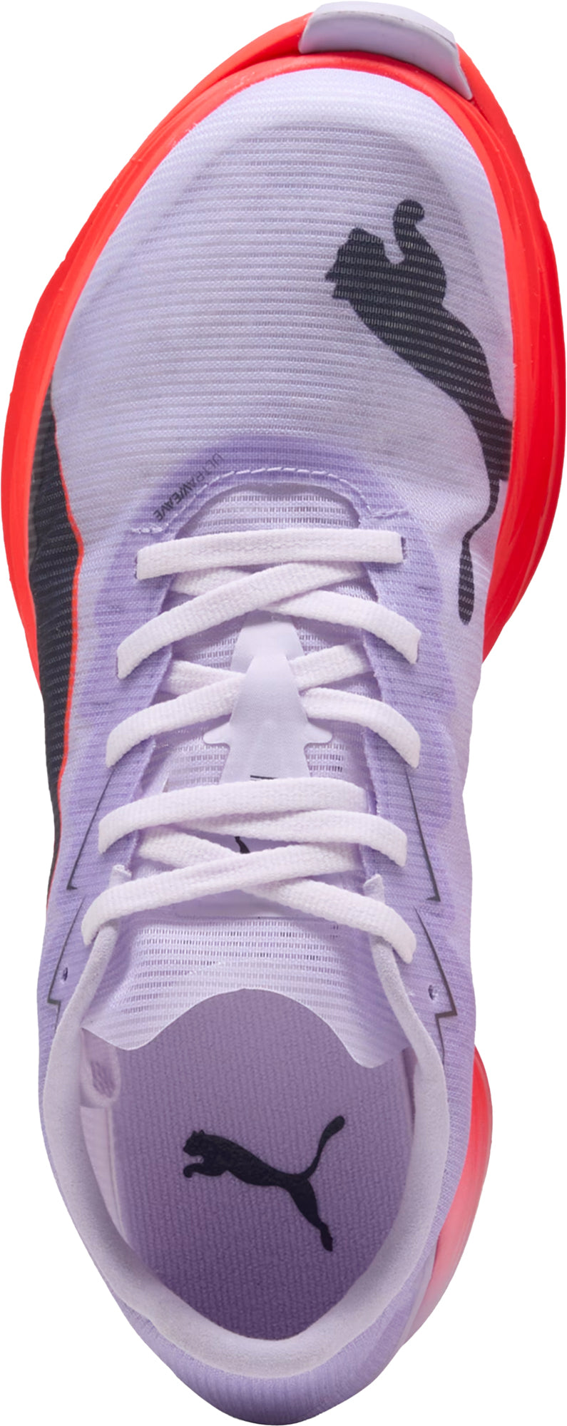 Women's Fast-R Nitro Elite 3 Road Running Shoes - Purple