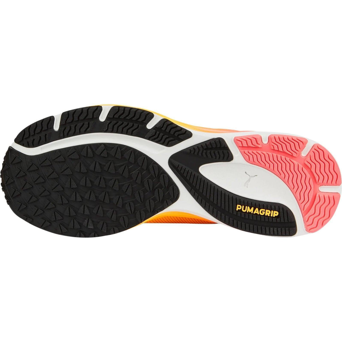Women's Velocity Nitro 2 Road Running Shoes - Orange