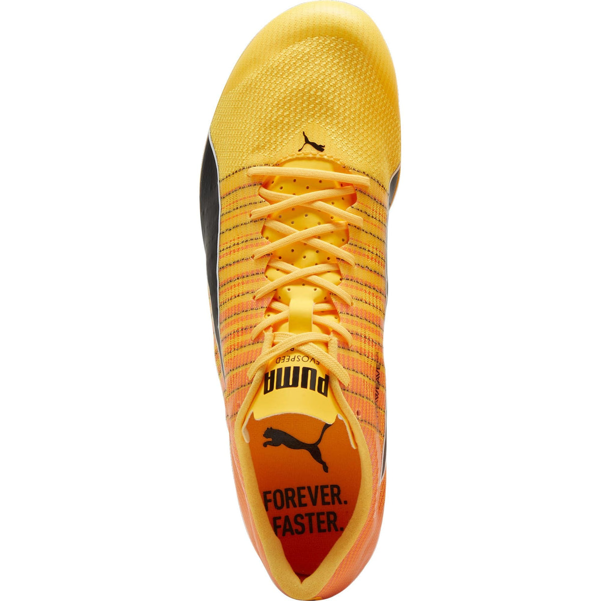 evoSpeed Brush 6 Running Spikes - Orange