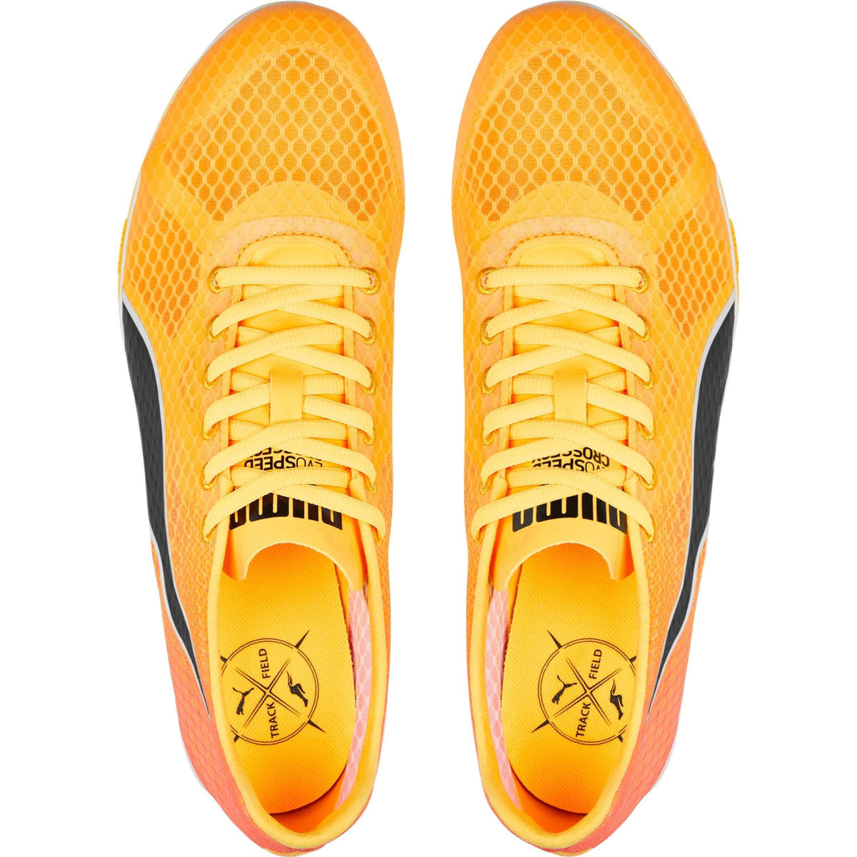 evoSpeed CrossFox 4 Cross Country Spikes - Orange