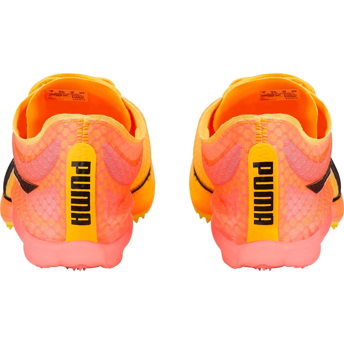 evoSpeed Distance Nitro Elite + 2 Running Spikes - Orange