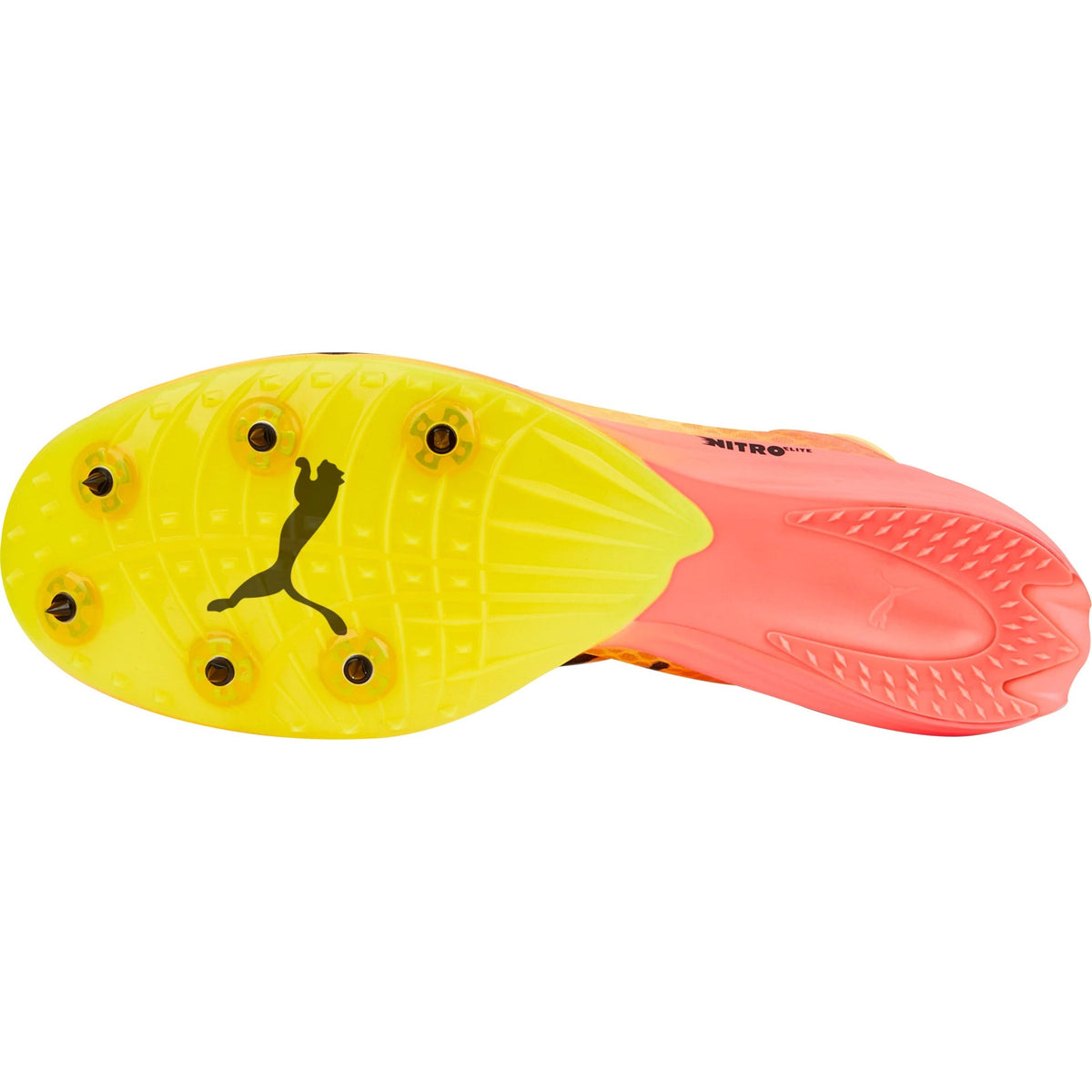 evoSpeed Distance Nitro Elite + 2 Running Spikes - Orange