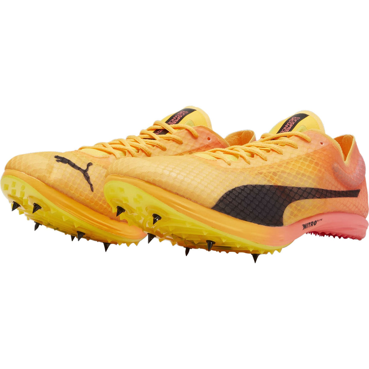 evoSpeed Distance Nitro Elite + 4 Running Spikes - Orange