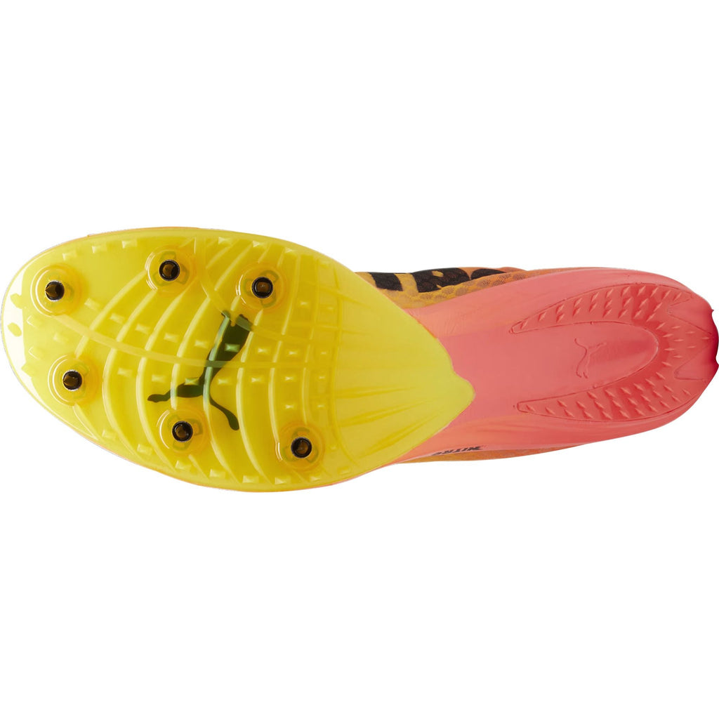 evoSpeed Distance Nitro Elite + 4 Running Spikes - Orange