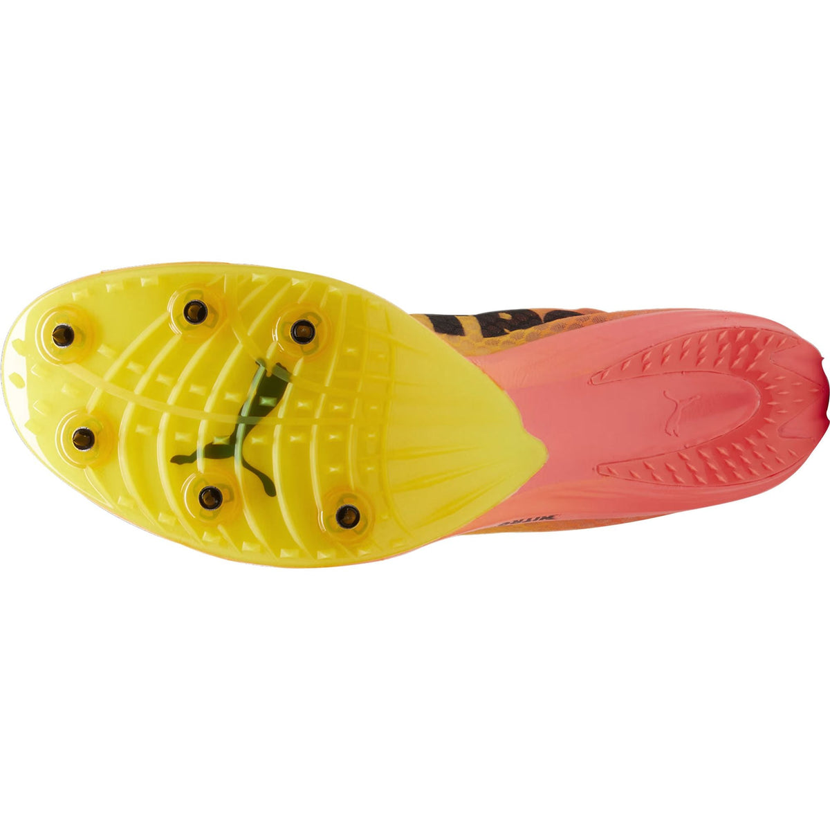 evoSpeed Distance Nitro Elite + 4 Running Spikes - Orange