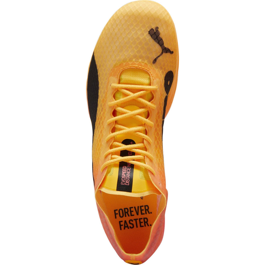 evoSpeed Distance Nitro Elite + 4 Running Spikes - Orange