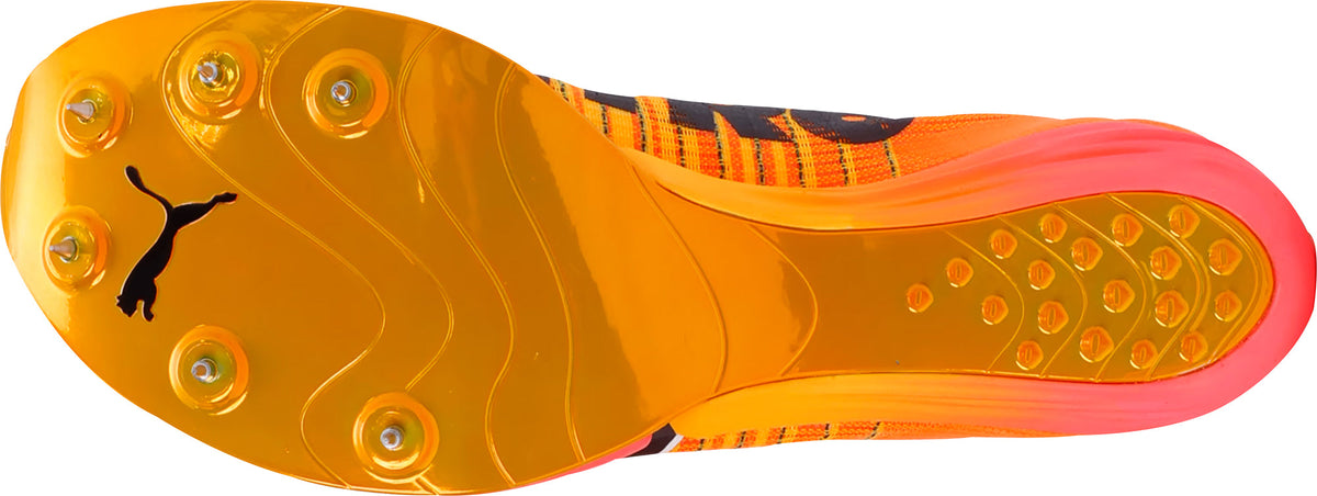 evoSpeed Forte Nitro Elite Running Spikes - Orange