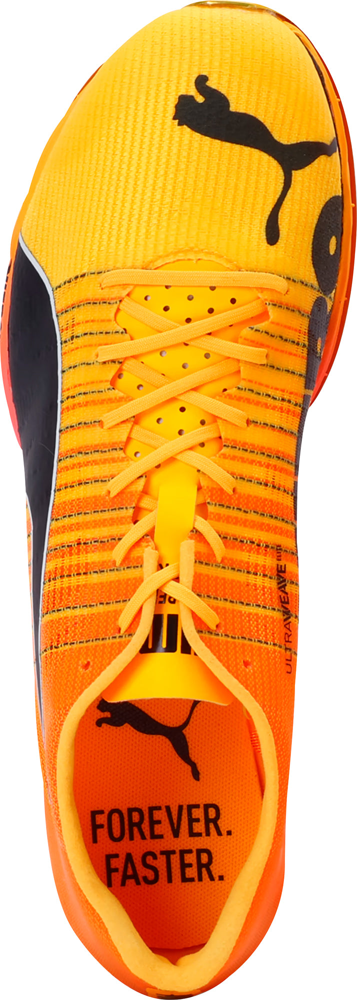 evoSpeed Forte Nitro Elite Running Spikes - Orange