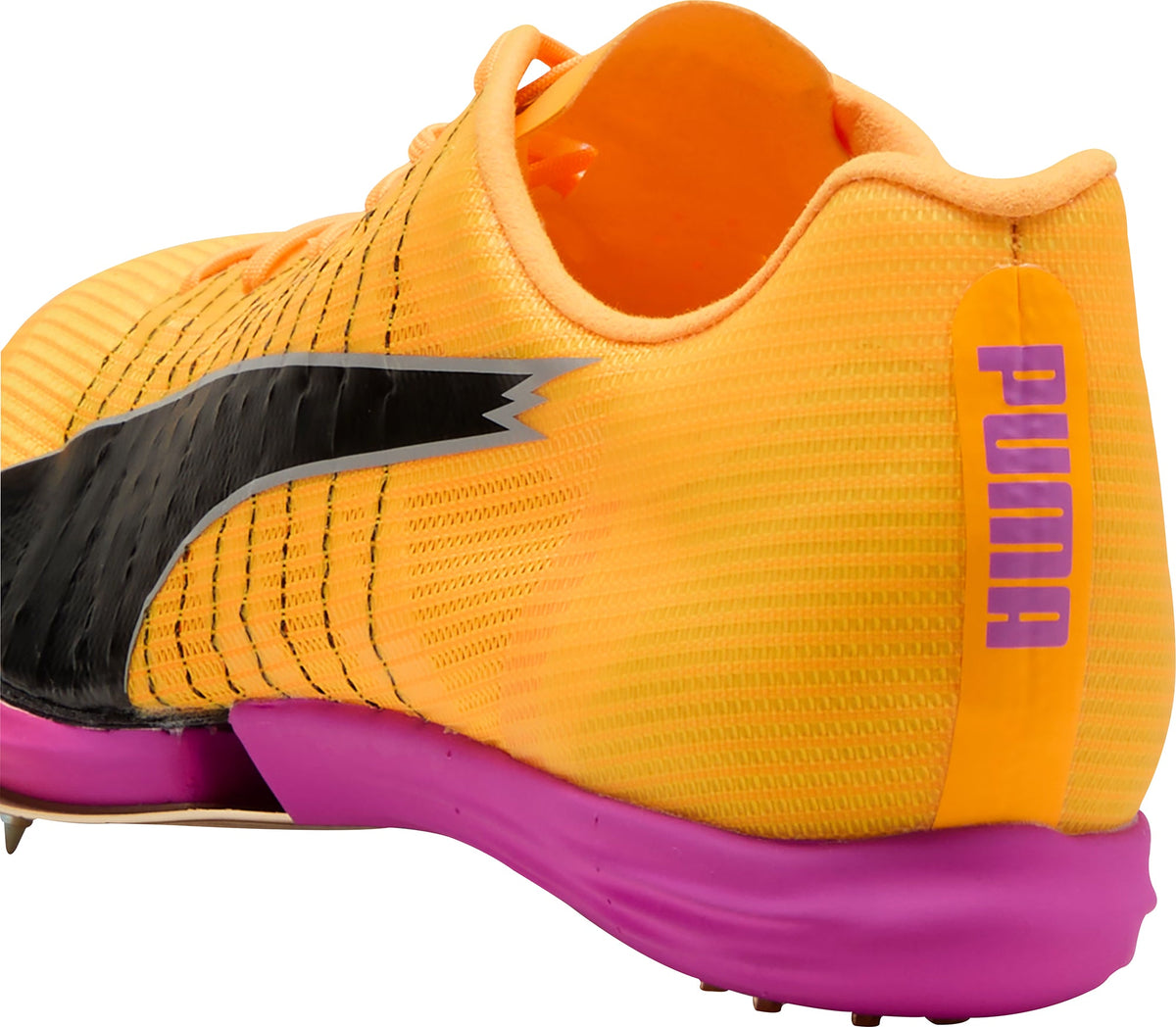 evoSpeed Forte Nitro Elite Running Spikes - Orange