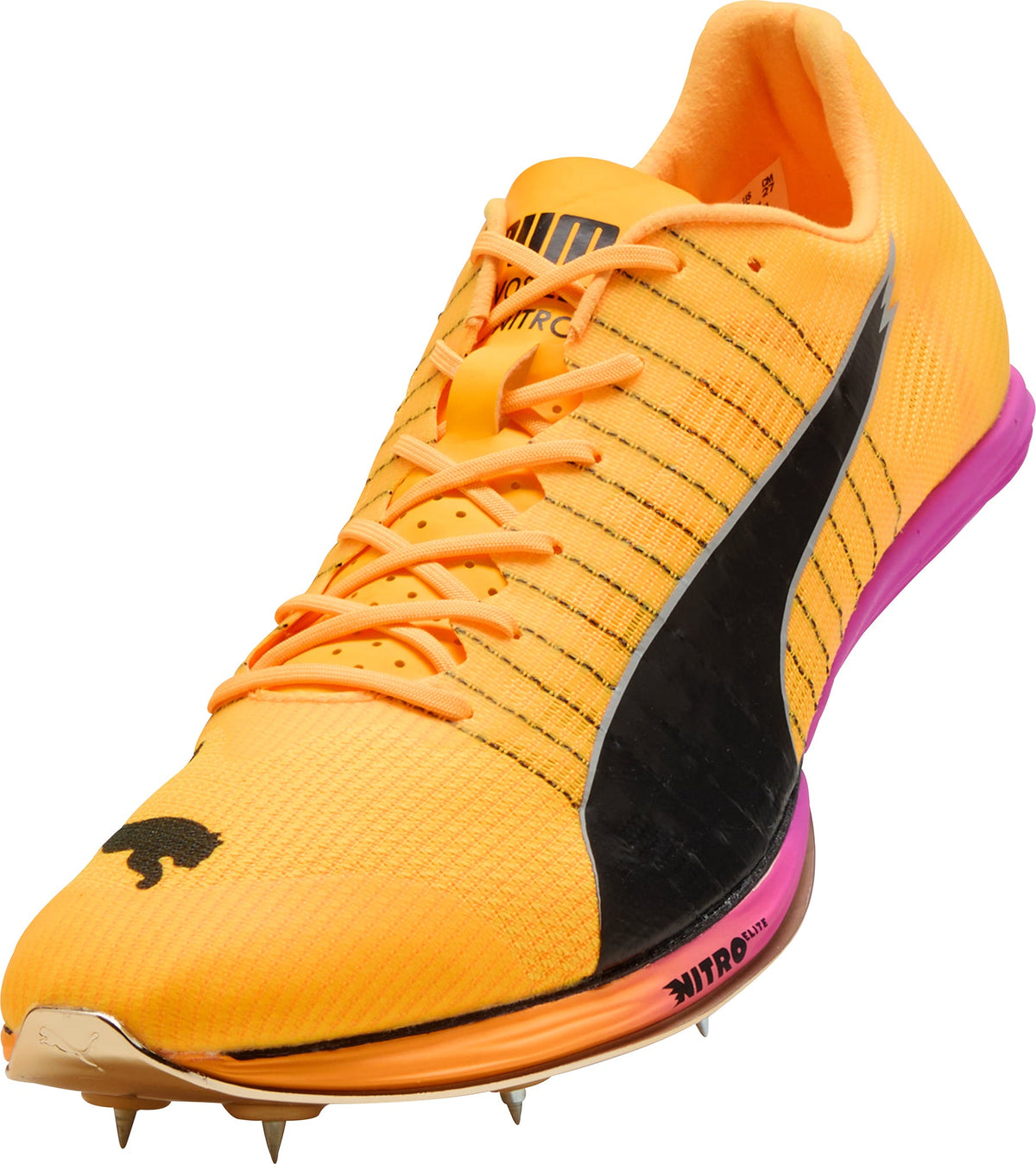 evoSpeed Forte Nitro Elite Running Spikes - Orange