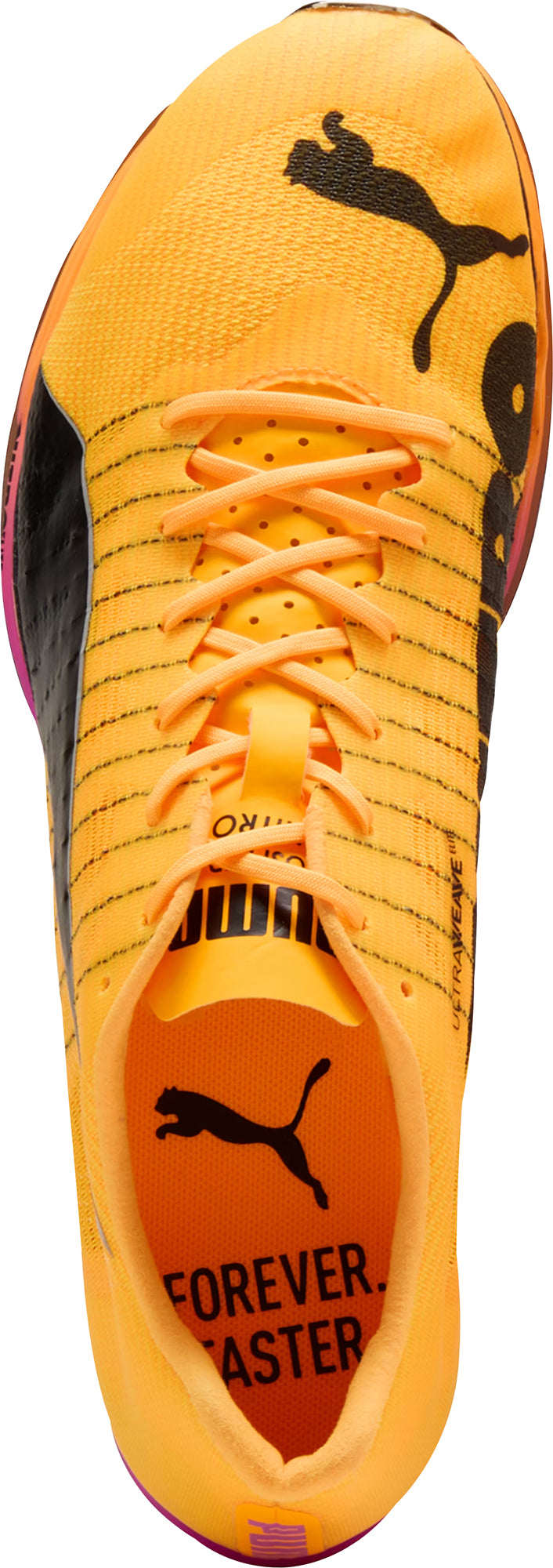 evoSpeed Forte Nitro Elite Running Spikes - Orange