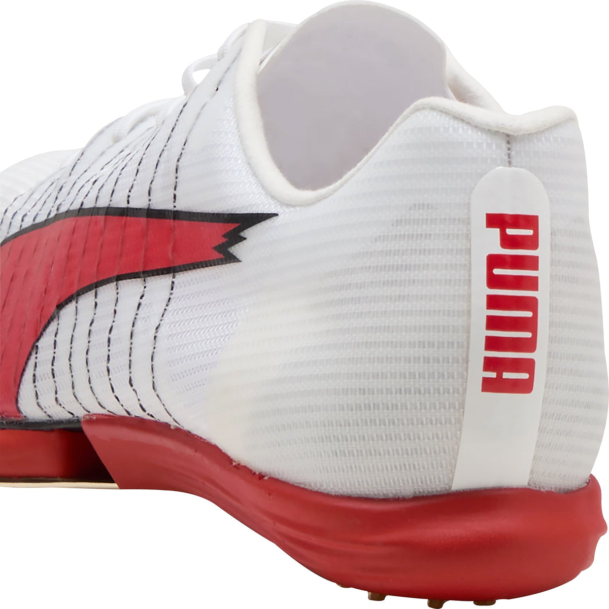 evoSpeed Forte Nitro Elite Running Spikes - White