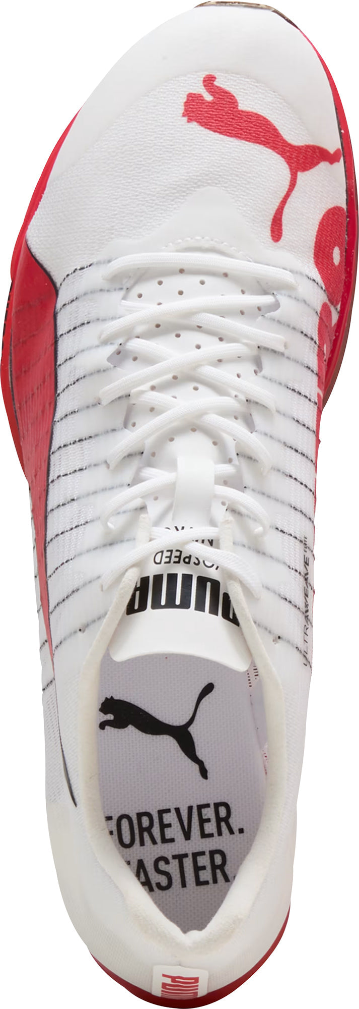 evoSpeed Forte Nitro Elite Running Spikes - White