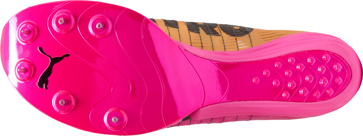 evoSpeed Forte Nitro Elite Running Spikes - Pink