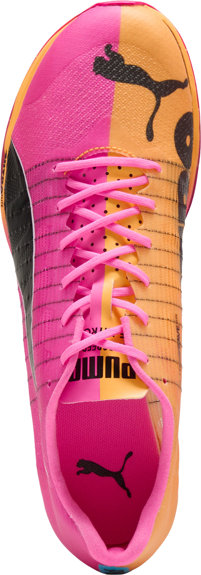 evoSpeed Forte Nitro Elite Running Spikes - Pink