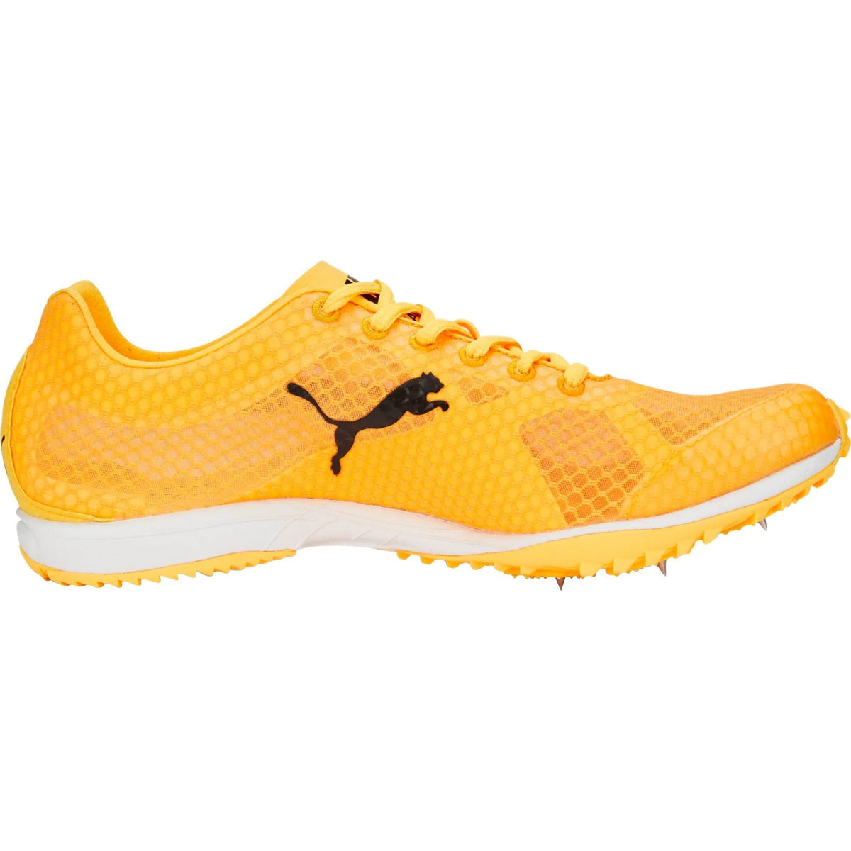 evoSpeed Haraka 7 Cross Country Spikes - Orange