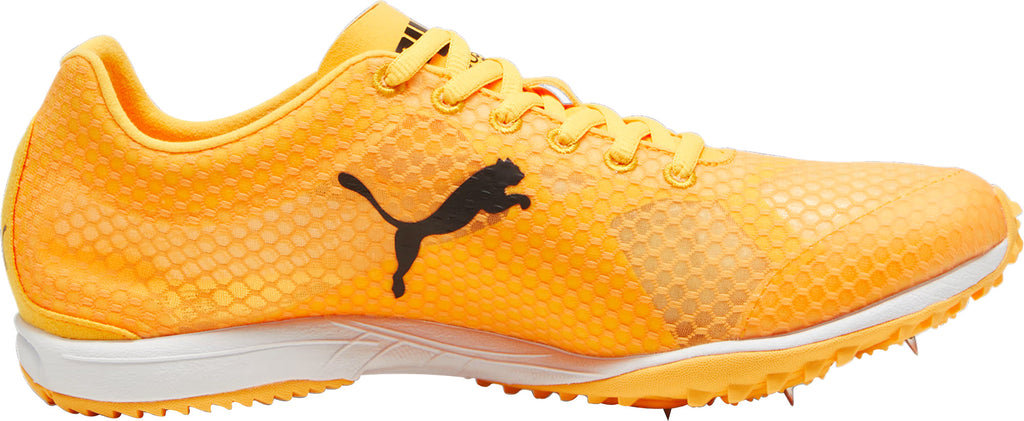 evoSpeed Haraka 8 Cross Country Spikes - Orange