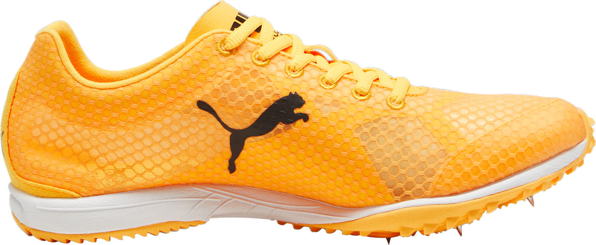 evoSpeed Haraka 8 Cross Country Spikes - Orange