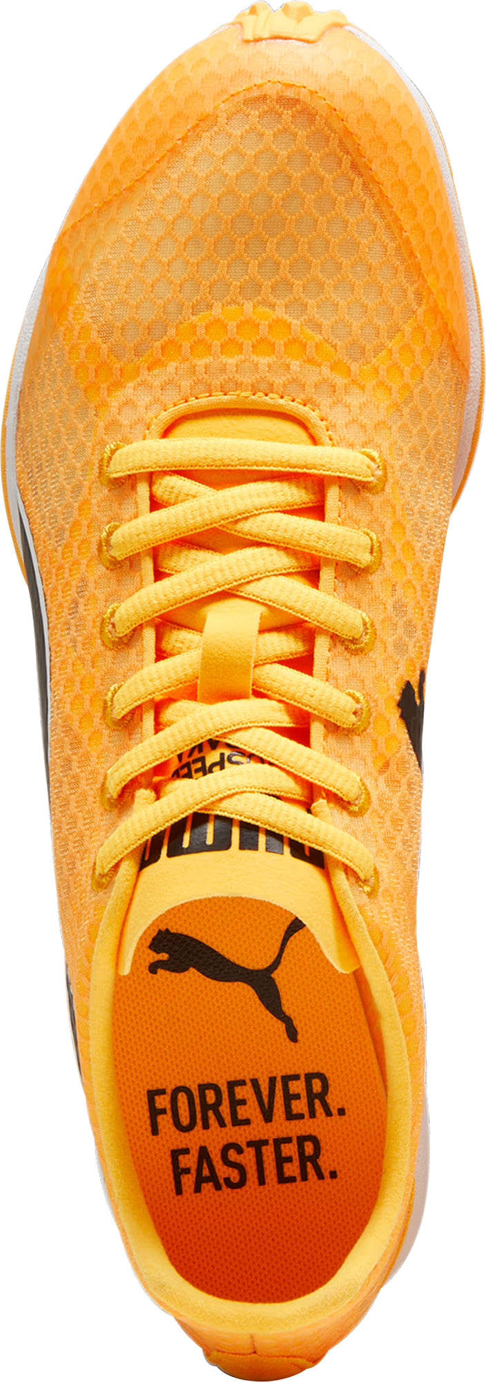 evoSpeed Haraka 8 Cross Country Spikes - Orange