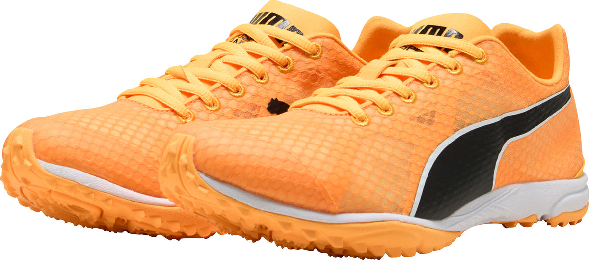 evoSpeed Haraka 8 Cross Country Spikes - Orange
