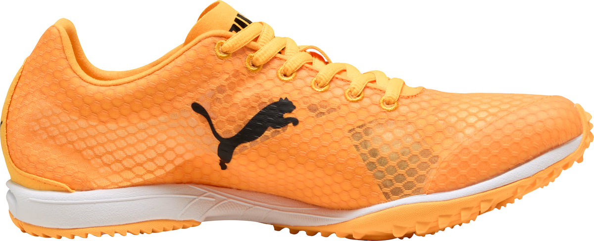 evoSpeed Haraka 8 Cross Country Spikes - Orange