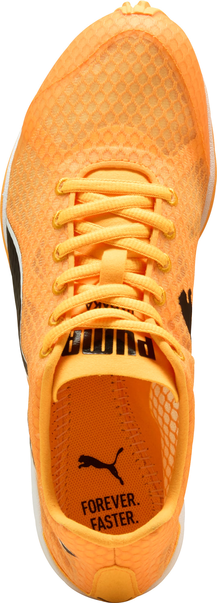 evoSpeed Haraka 8 Cross Country Spikes - Orange