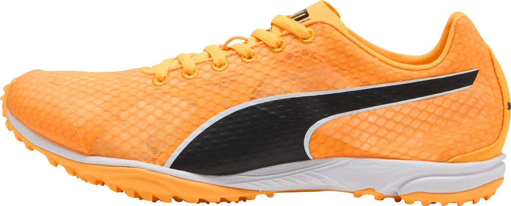 evoSpeed Haraka 8 Cross Country Spikes - Orange