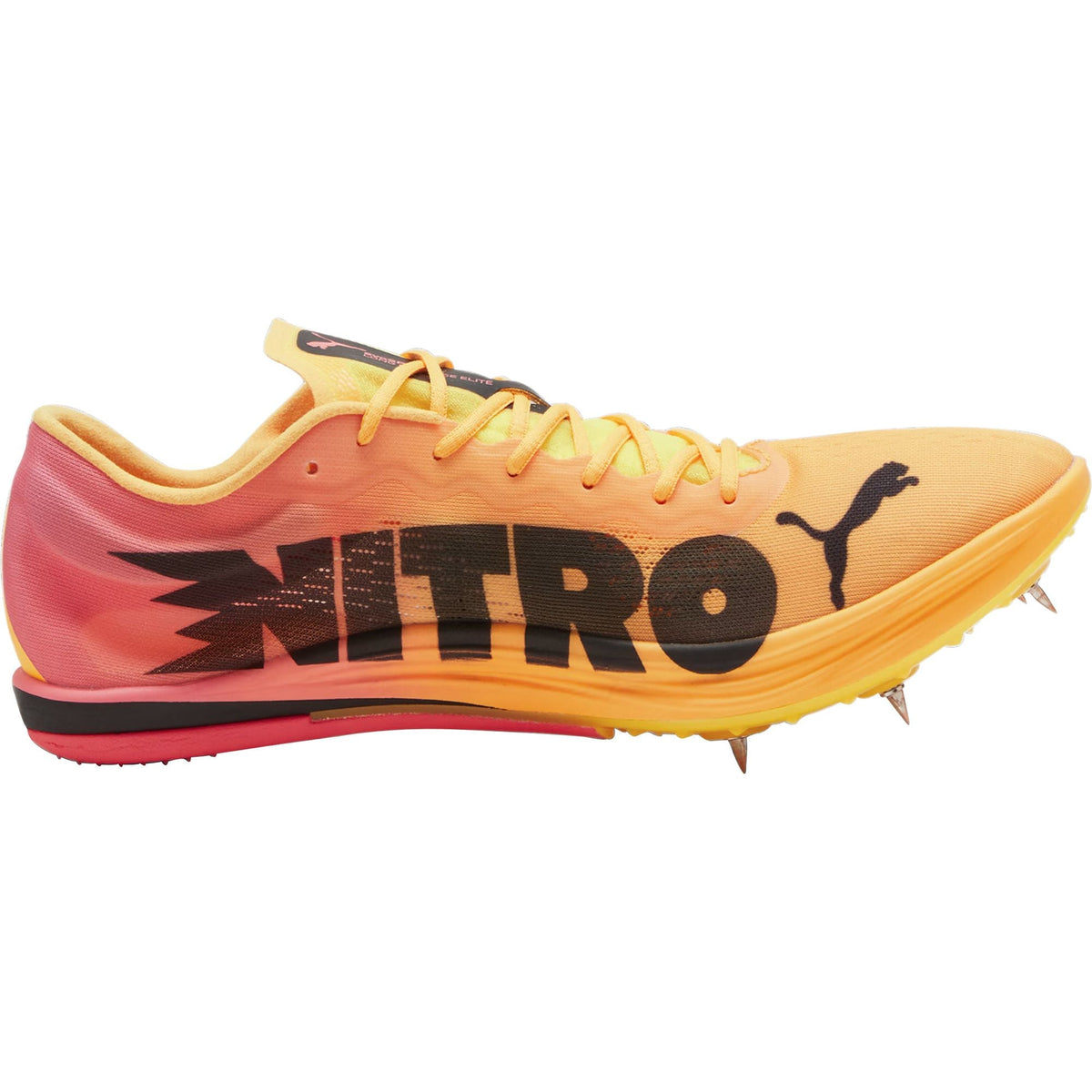 evoSpeed Long Distance Nitro Elite 2 Running Spikes - Orange