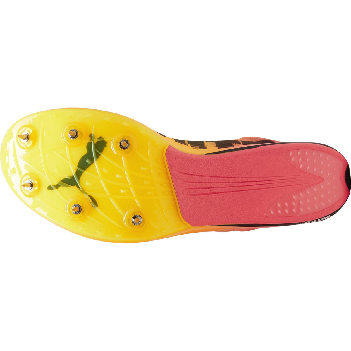 evoSpeed Long Distance Nitro Elite 2 Running Spikes - Orange
