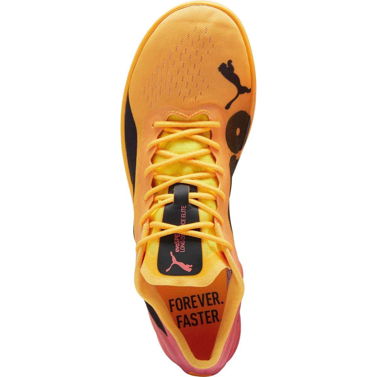evoSpeed Long Distance Nitro Elite 2 Running Spikes - Orange