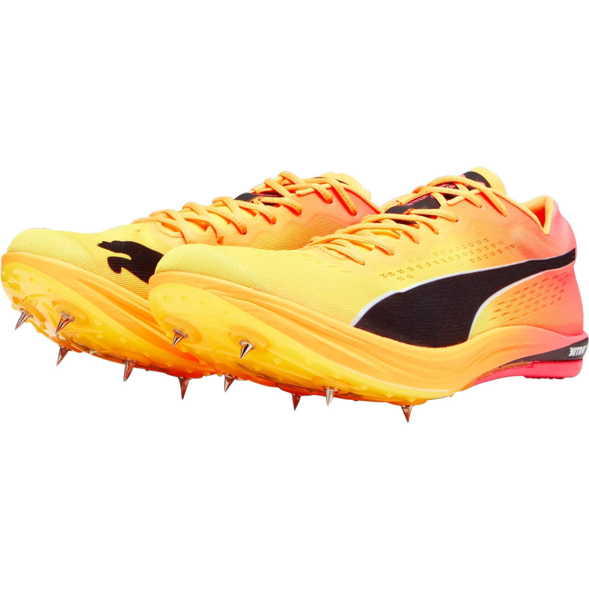 evoSpeed Nitro Elite+ Long Distance Running Spikes - Orange