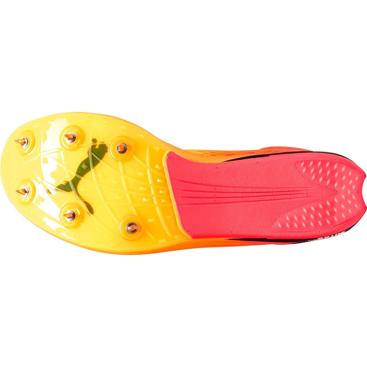 evoSpeed Nitro Elite+ Long Distance Running Spikes - Orange