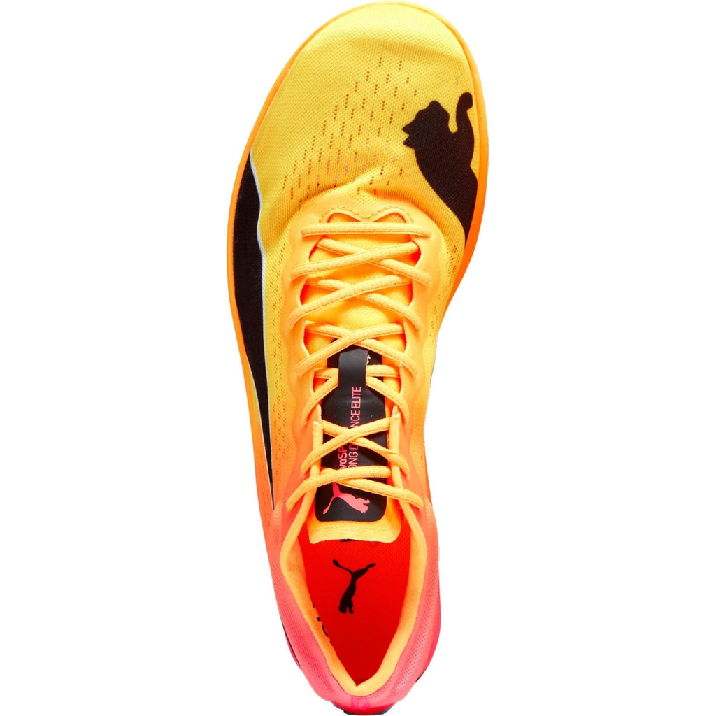 evoSpeed Nitro Elite+ Long Distance Running Spikes - Orange