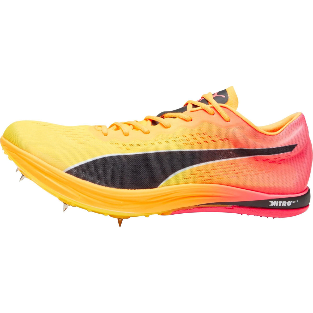 evoSpeed Nitro Elite+ Long Distance Running Spikes - Orange