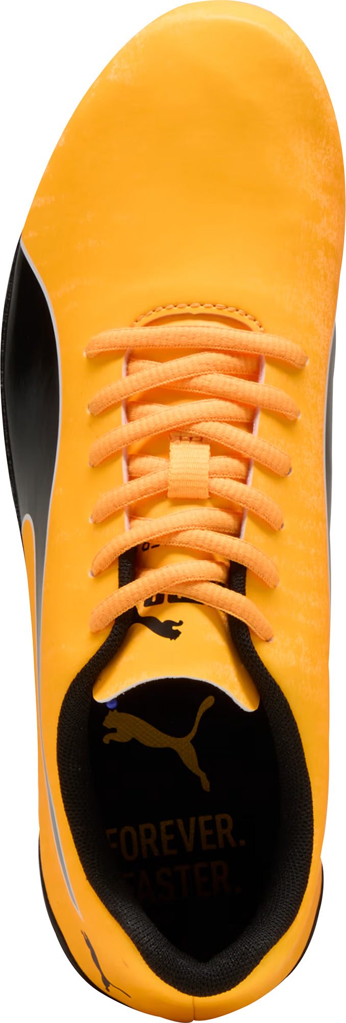evoSpeed Prep Spint 3.5 Running Spikes - Orange