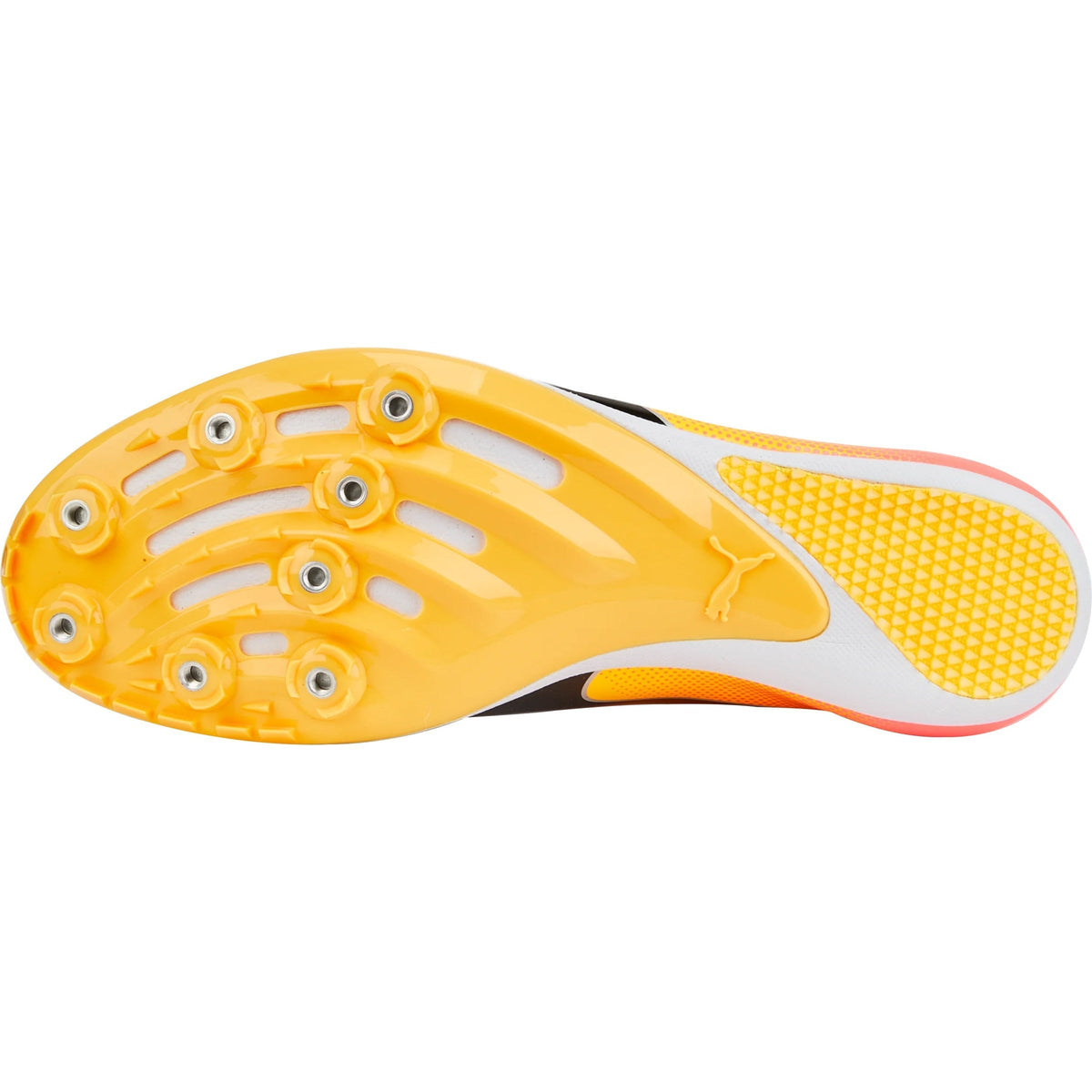 evoSpeed Sprint 14 Running Spikes - Orange