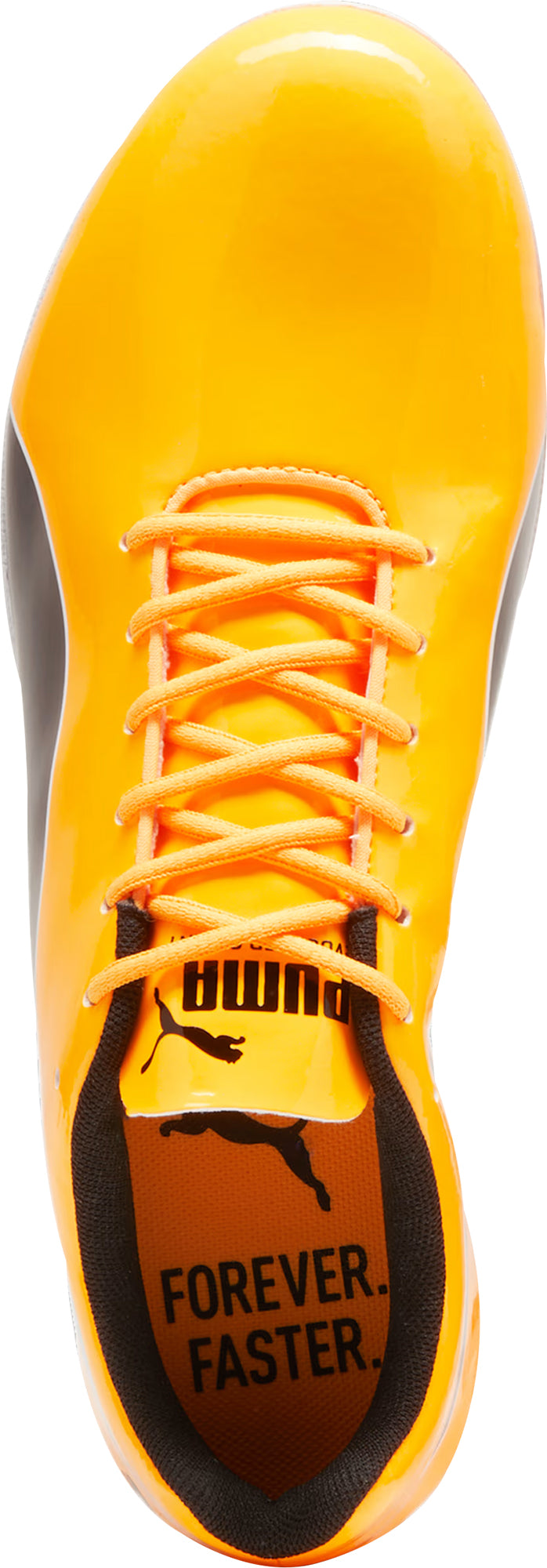 evoSpeed Sprint 14.5 Running Spikes - Orange