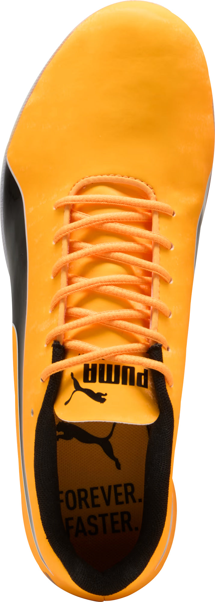 evoSpeed Sprint 14.5 Running Spikes - Orange